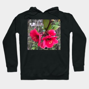 Ring in the Pink Bells with Sweet Forest Bathing Hoodie